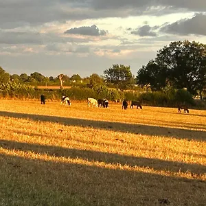 Holiday home High Oak, Thirsk